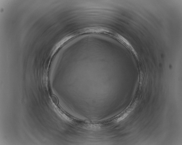 X0000082750802200702091927