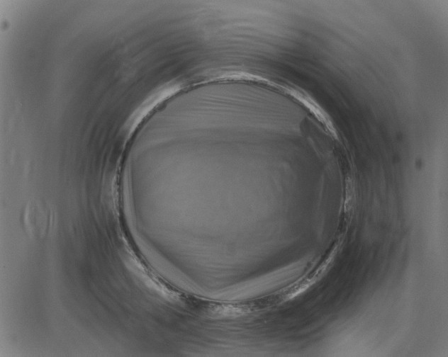 X0000082750806200702091927