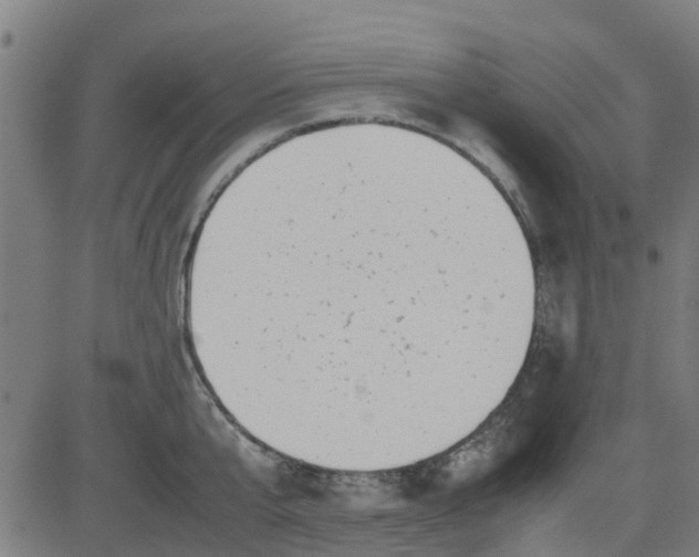 X0000082750807200702091927