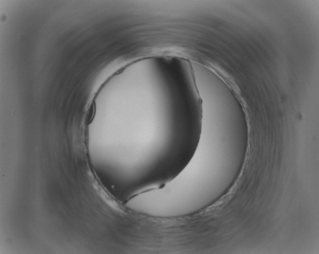X0000082750816200702091927