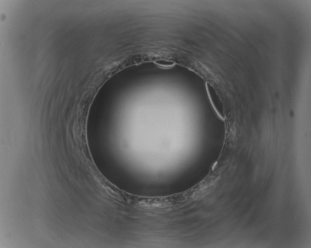 X0000082750817200702091926