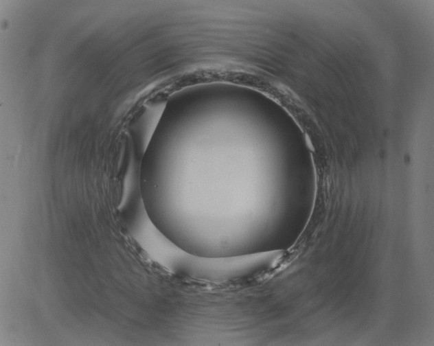 X0000082750822200702091926