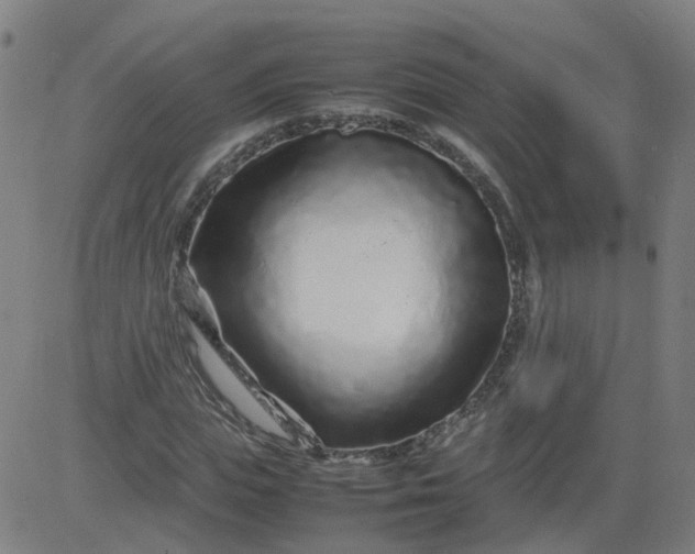 X0000082750823200702091926
