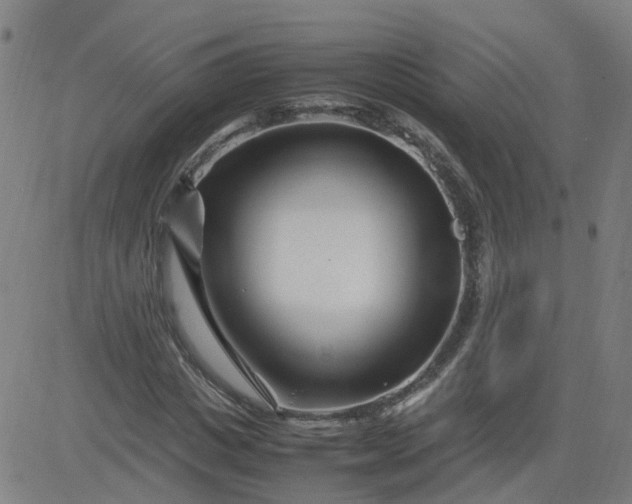 X0000082750825200702091926