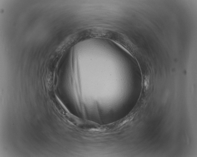X0000082750867200702091926