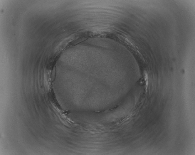 X0000082750868200702091926