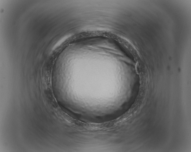 X0000082750871200702091926