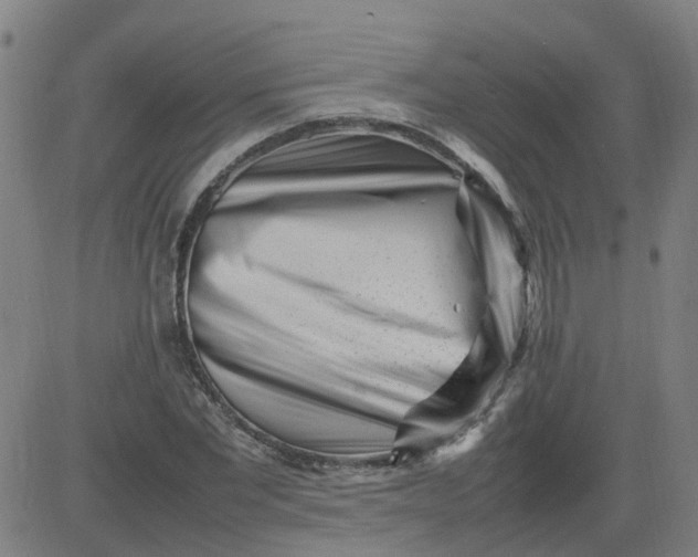 X0000082750877200702091926