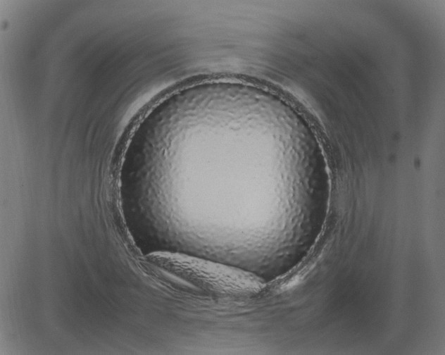 X0000082750879200702091926