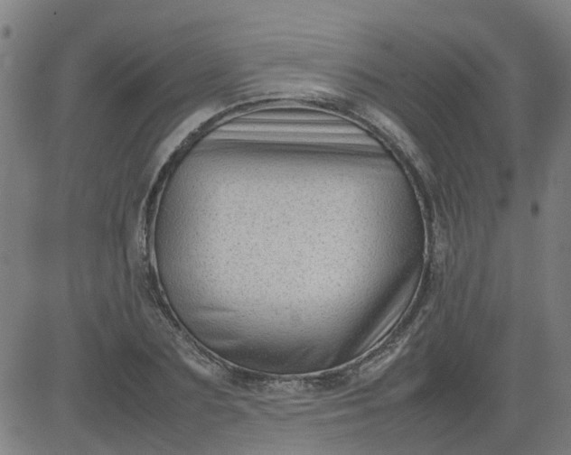 X0000082750883200702091926