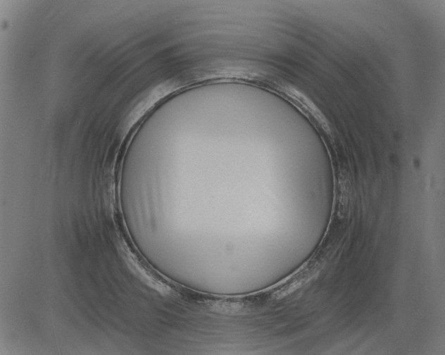 X0000082750890200702091925