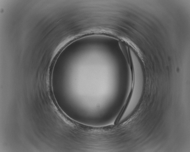 X0000082750894200702091925