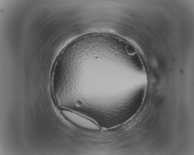 X0000082750895200702091925