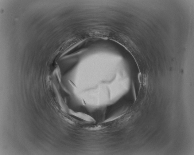 X0000082750915200702091924