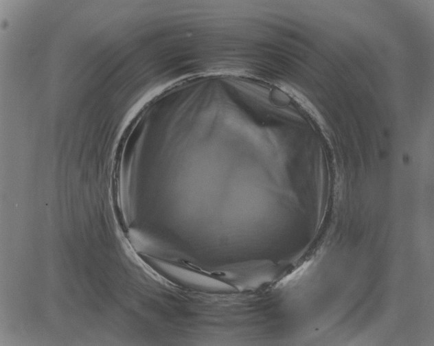 X0000082750941200702091925