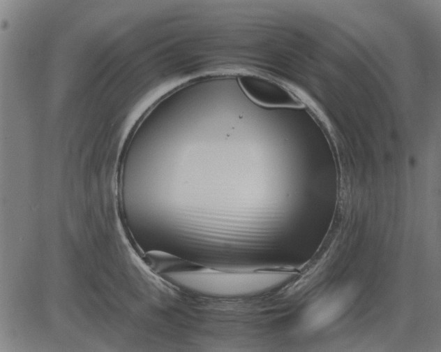 X0000082750951200702091925
