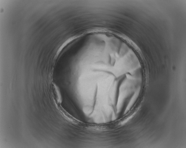 X0000082750953200702091925