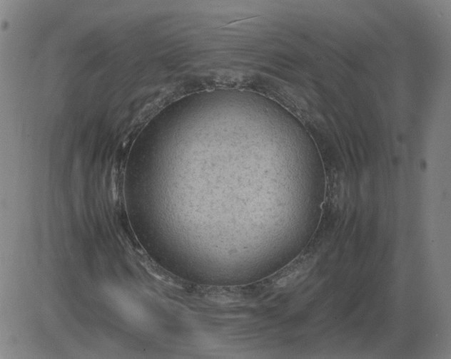 X0000082750962200702091924