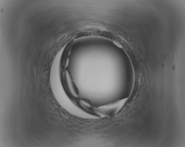 X0000082750965200702091924