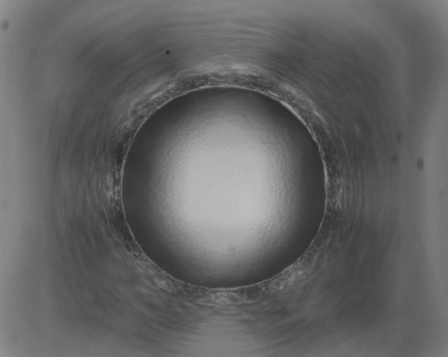 X0000082750966200702091924