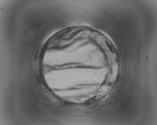 X0000082750975200702091924