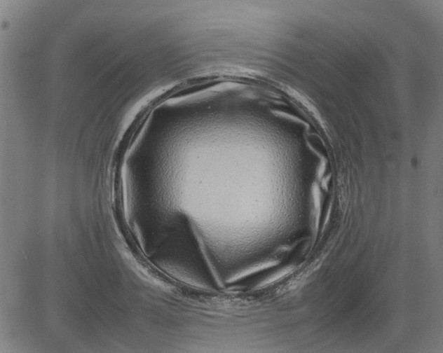X0000082750987200702091924
