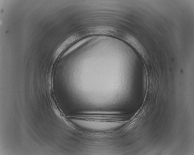 X0000082750994200702091924