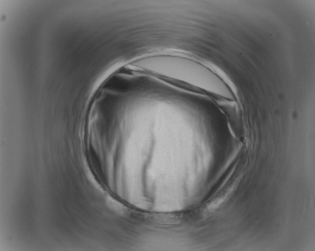 X0000082751007200702091923