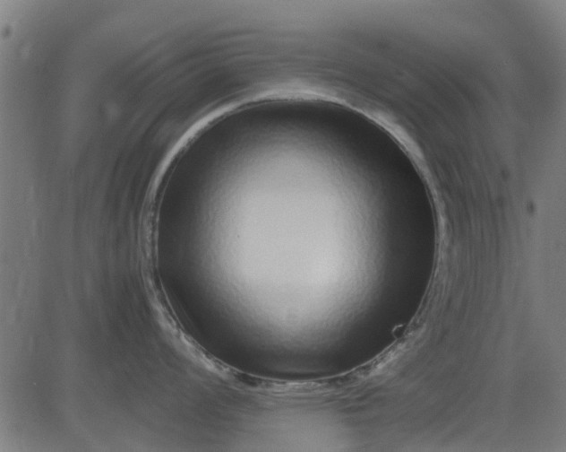 X0000082751008200702091923