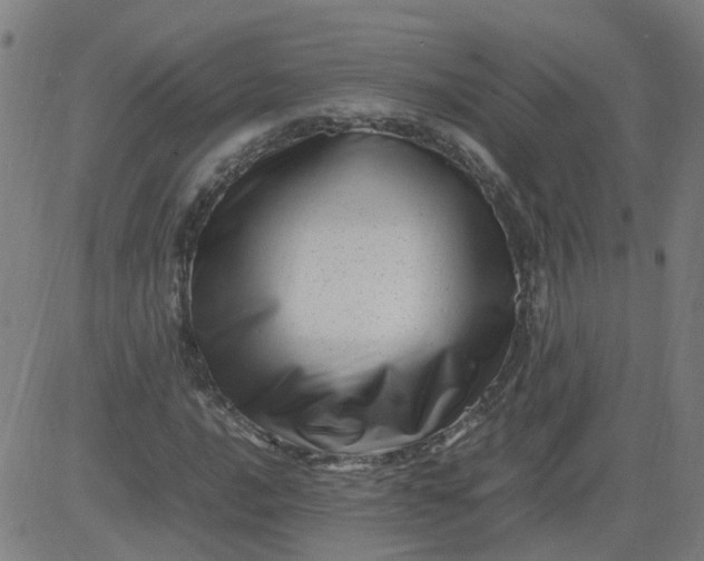 X0000082751016200702091923