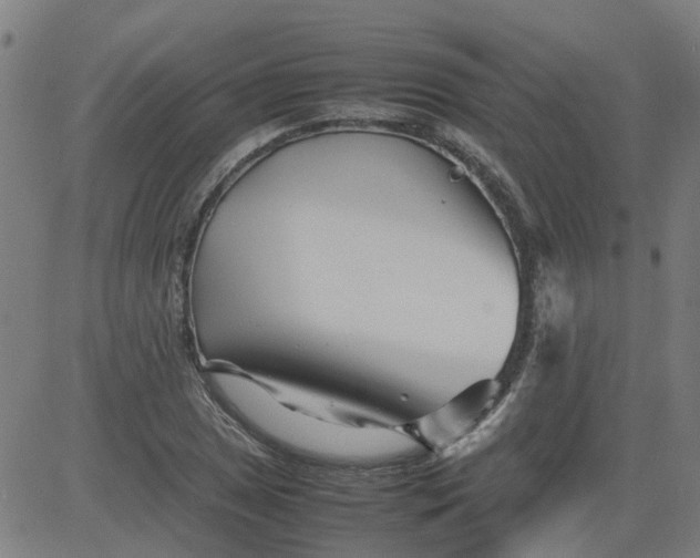 X0000082751025200702091923