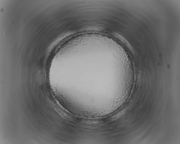 X0000082751027200702091923