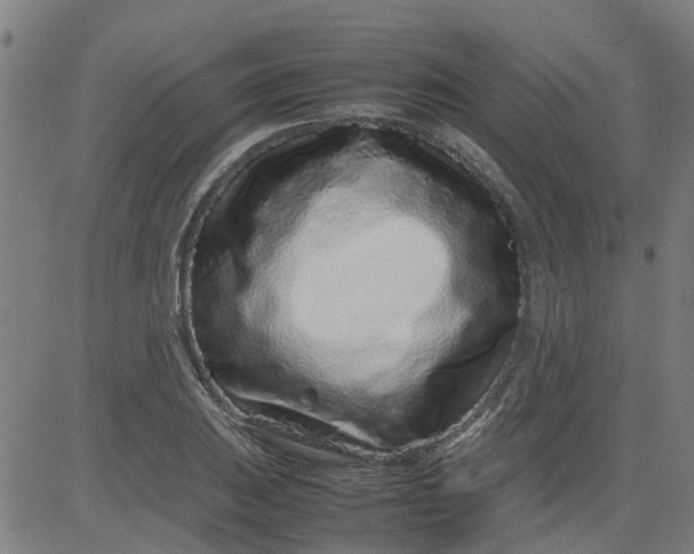 X0000082751031200702091923