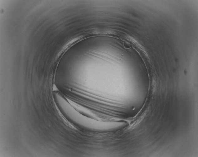 X0000082751033200702091923