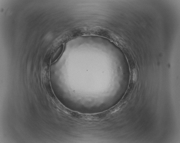 X0000082751059200702091923
