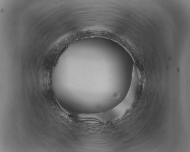 X0000082751062200702091923