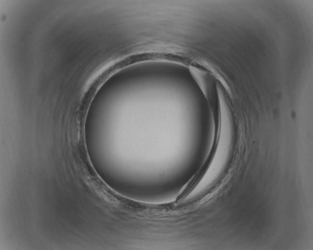 X0000082751069200702091922