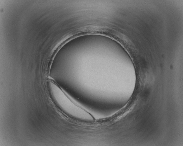 X0000082751073200702091922