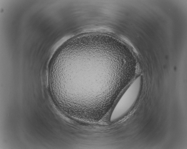 X0000082751079200702091922