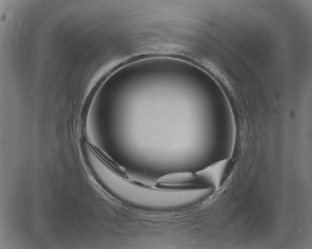 X0000082751085200702091922