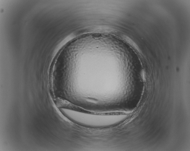 X0000082751087200702091922