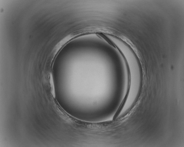 X0000082751089200702091922