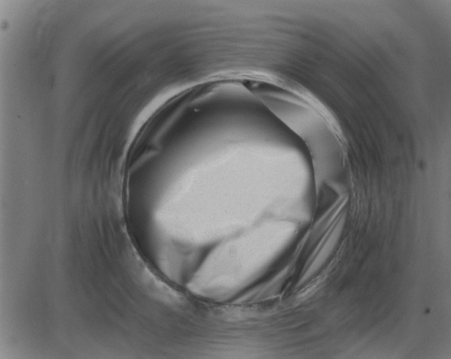 X0000082751102200702091922