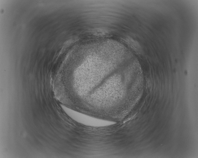 X0000082751106200702091921