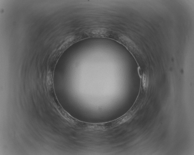 X0000082751107200702091921