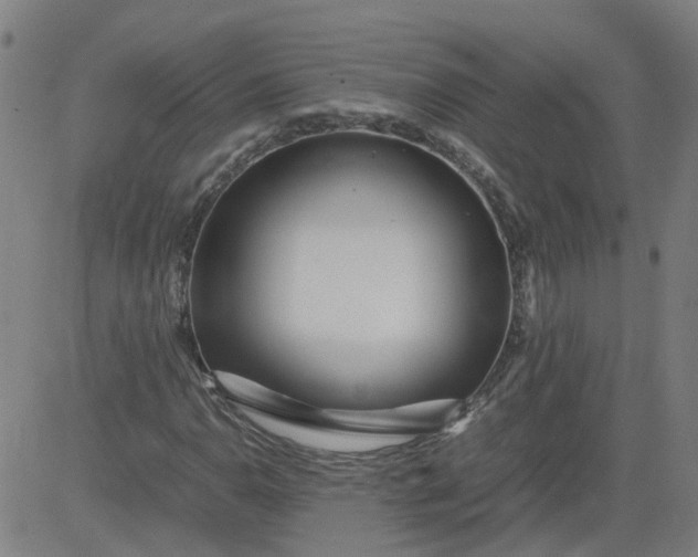 X0000082751110200702091921