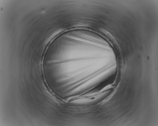 X0000082751121200702091921
