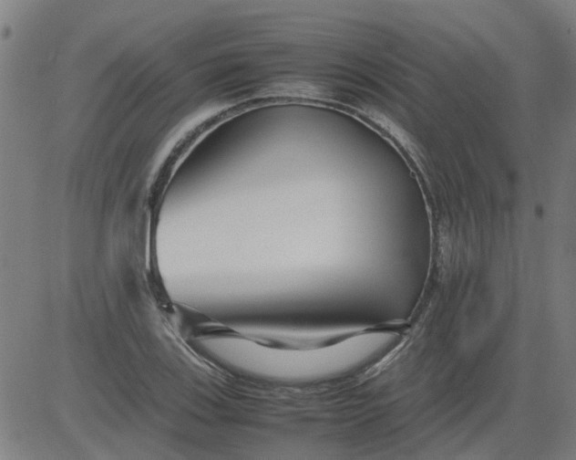 X0000082751123200702091921