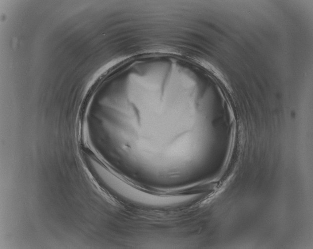 X0000082751125200702091921