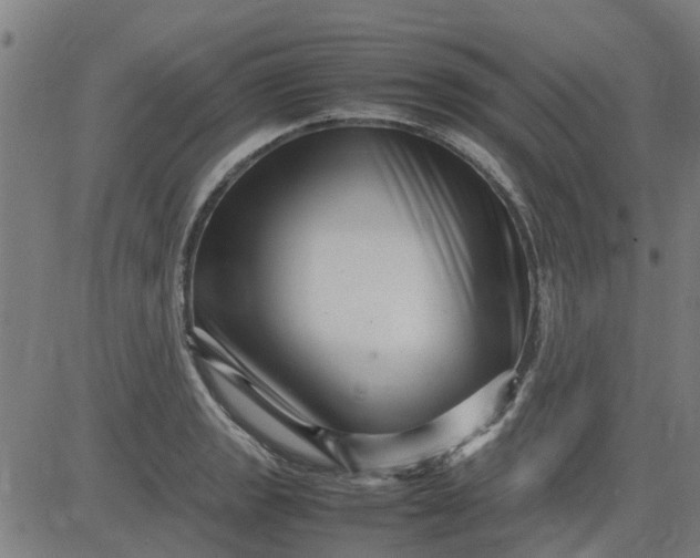 X0000082751133200702091922